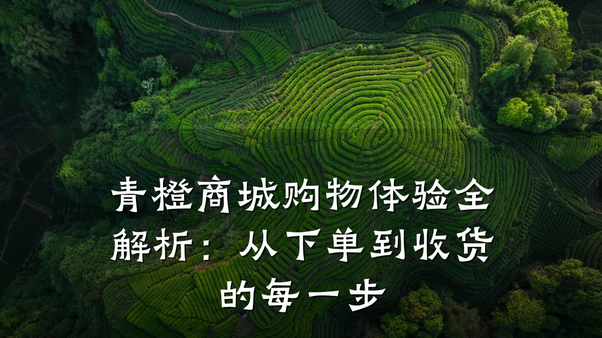 青橙商城购物体验全解析:从下单到收货的每一步