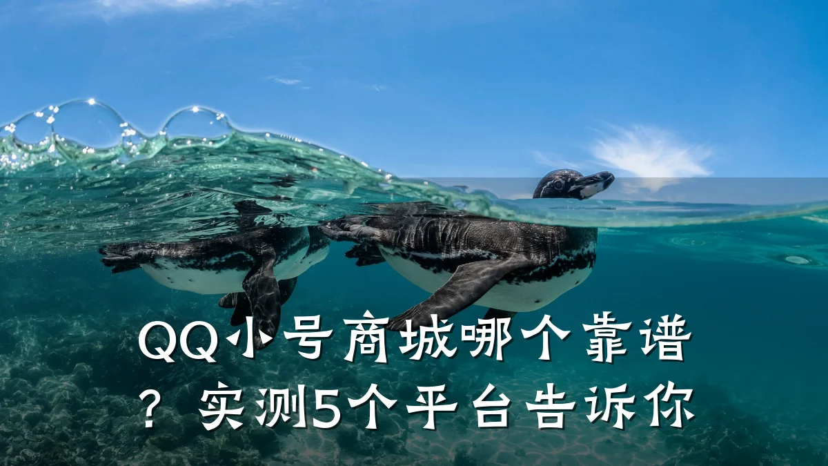 QQ小号商城哪个靠谱?实测5个平台告诉你