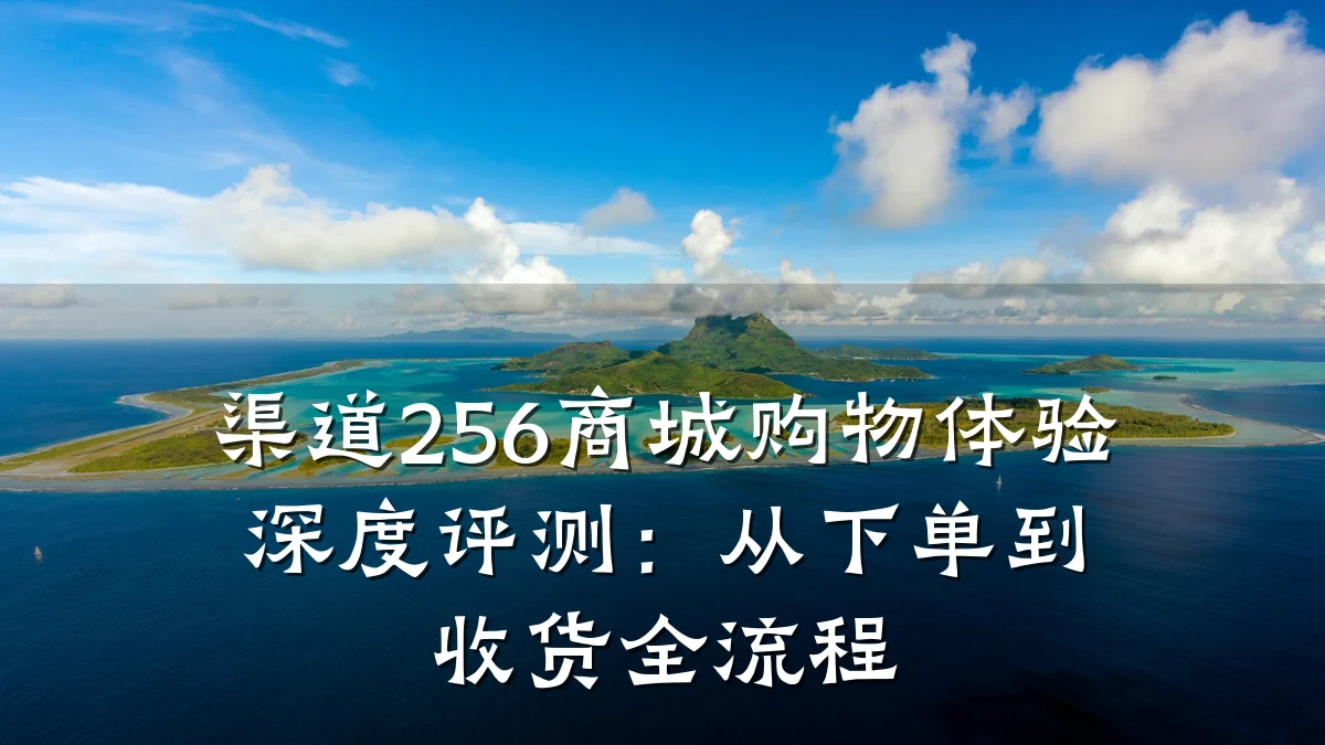 渠道256商城购物体验深度评测:从下单到收货全流程