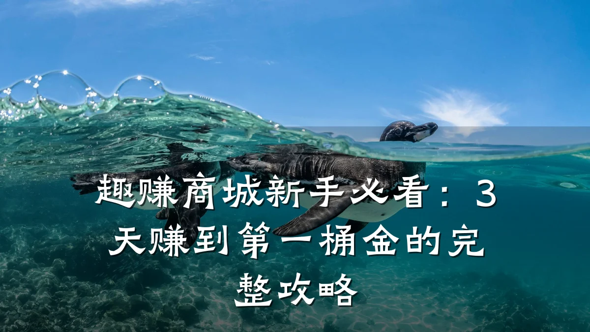 趣赚商城新手必看：3天赚到第一桶金的完整攻略