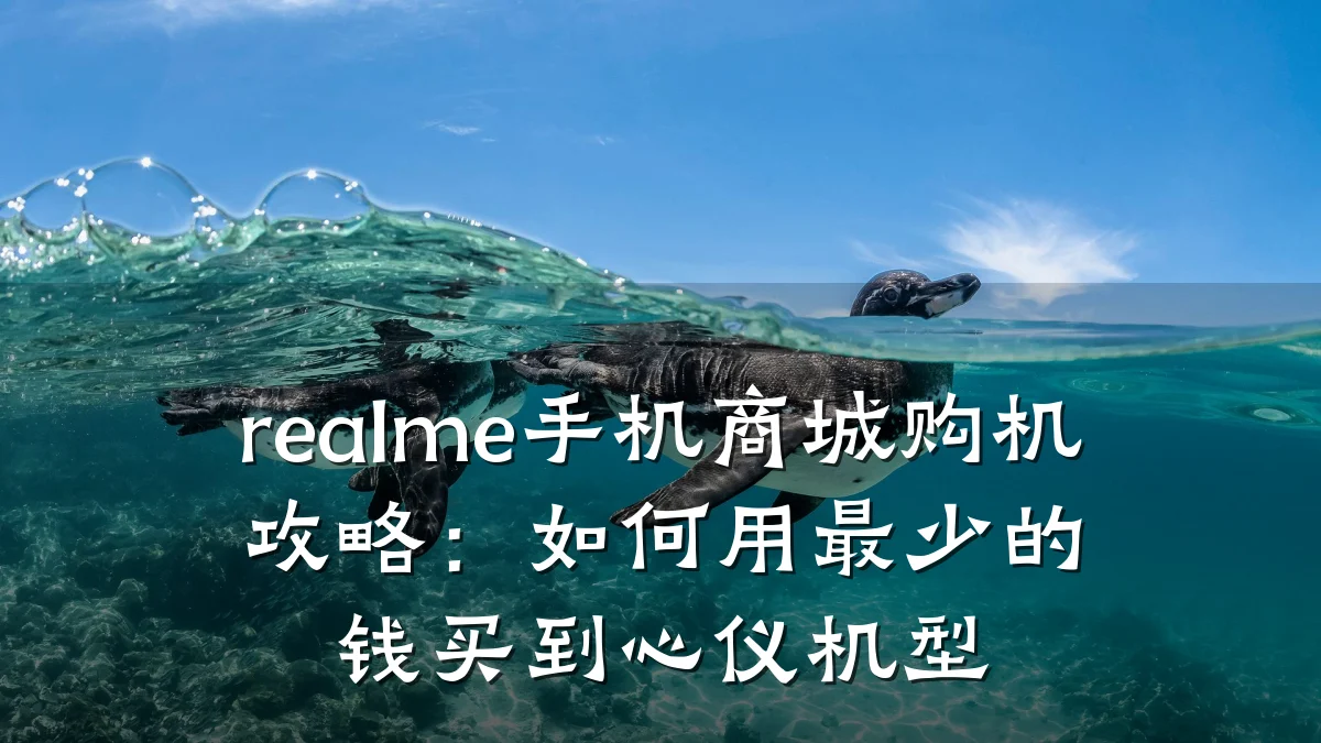 realme手机商城购机攻略:如何用最少的钱买到心仪机型