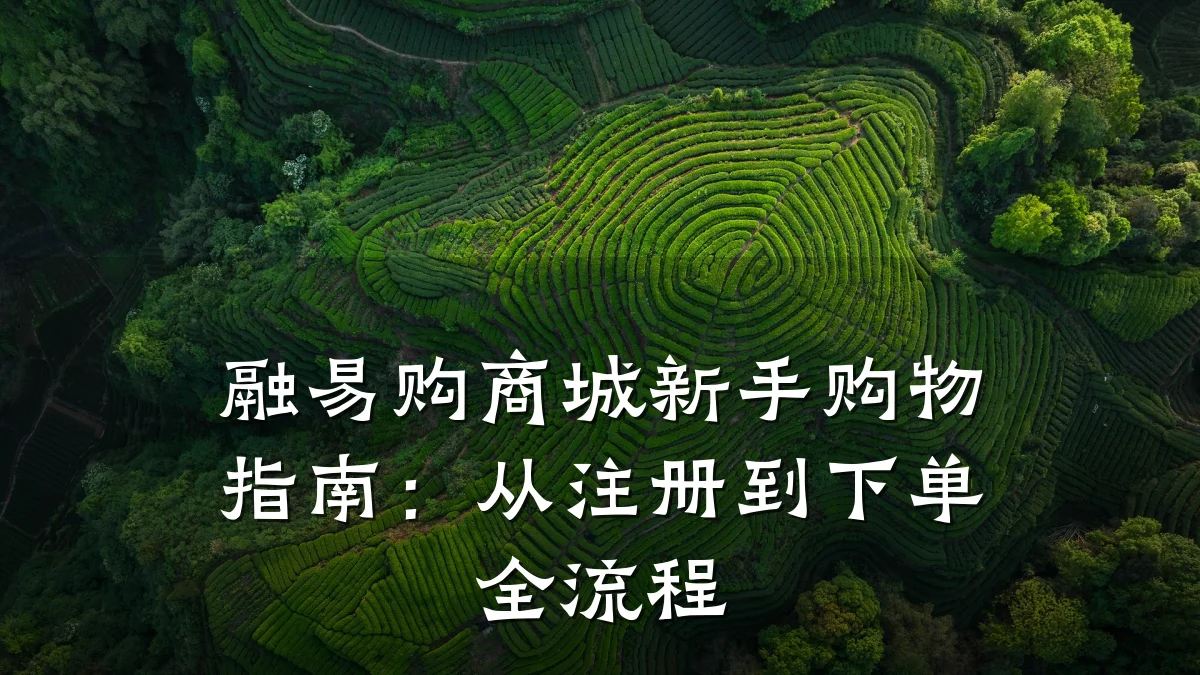 融易购商城新手购物指南:从注册到下单全流程