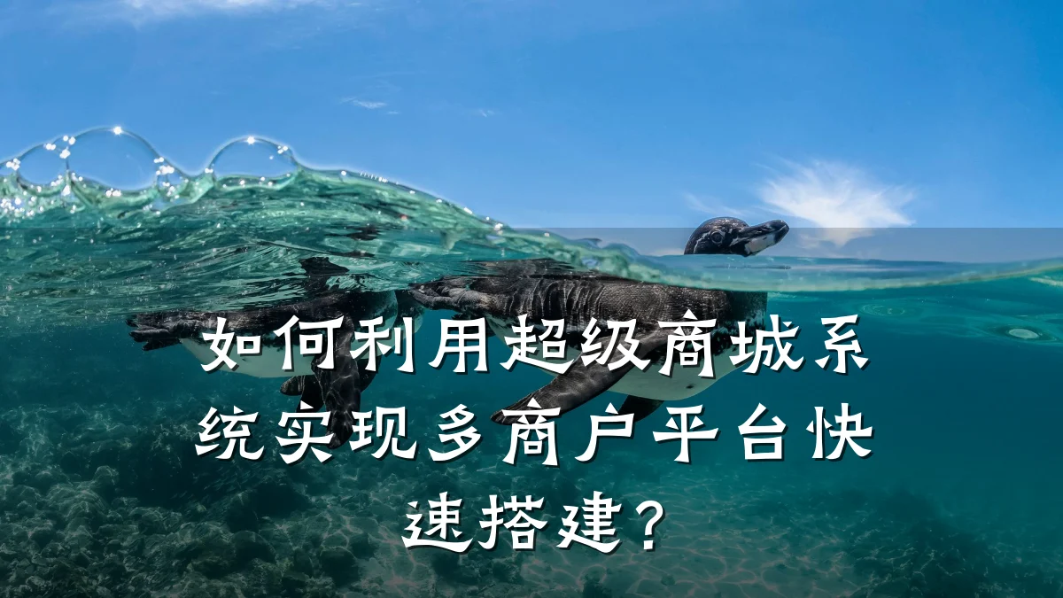 如何利用超级商城系统实现多商户平台快速搭建?