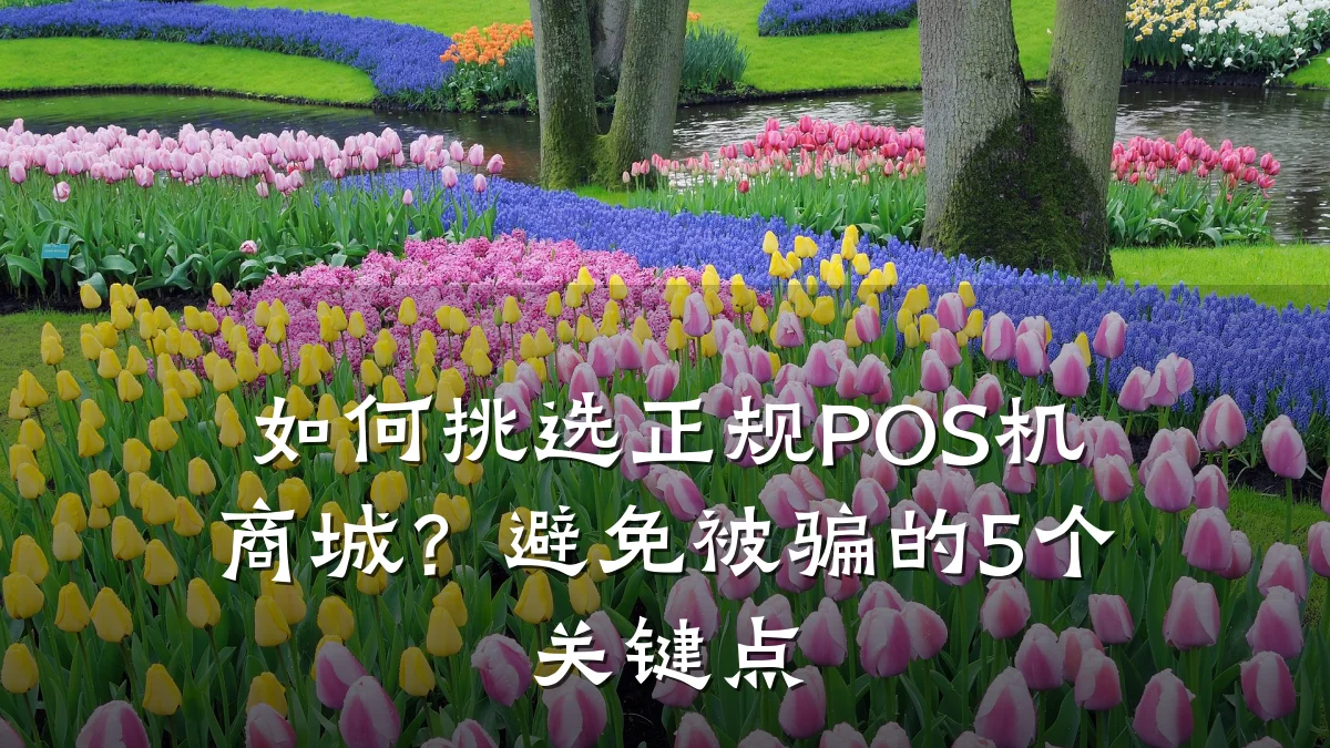 如何挑选正规POS机商城？避免被骗的5个关键点