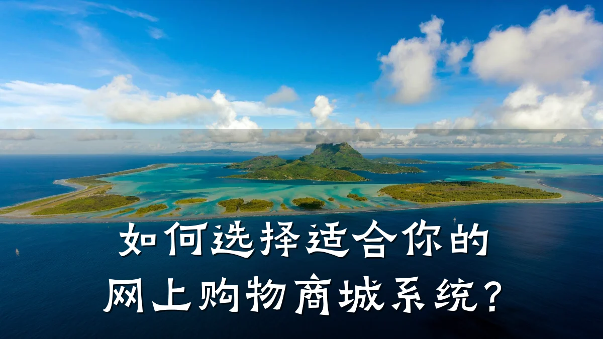 如何选择适合你的网上购物商城系统？