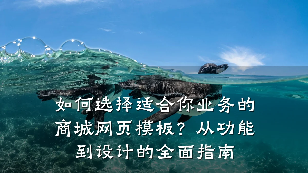 如何选择适合你业务的商城网页模板？从功能到设计的全面指南