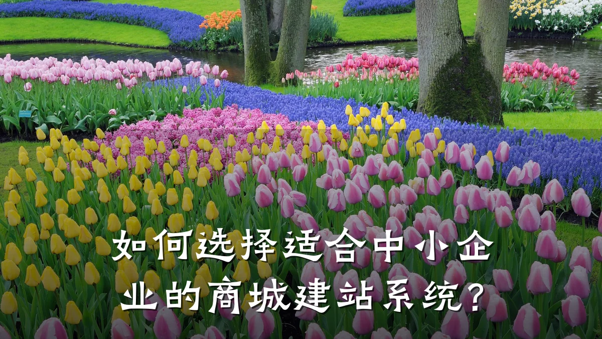 如何选择适合中小企业的商城建站系统？