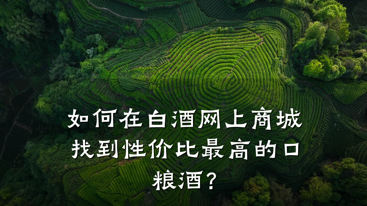 如何在白酒网上商城找到性价比最高的口粮酒？