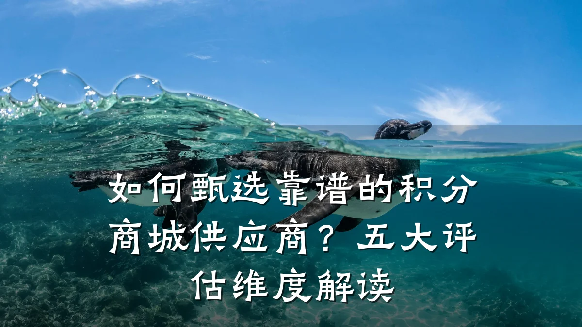 如何甄选靠谱的积分商城供应商?五大评估维度解读