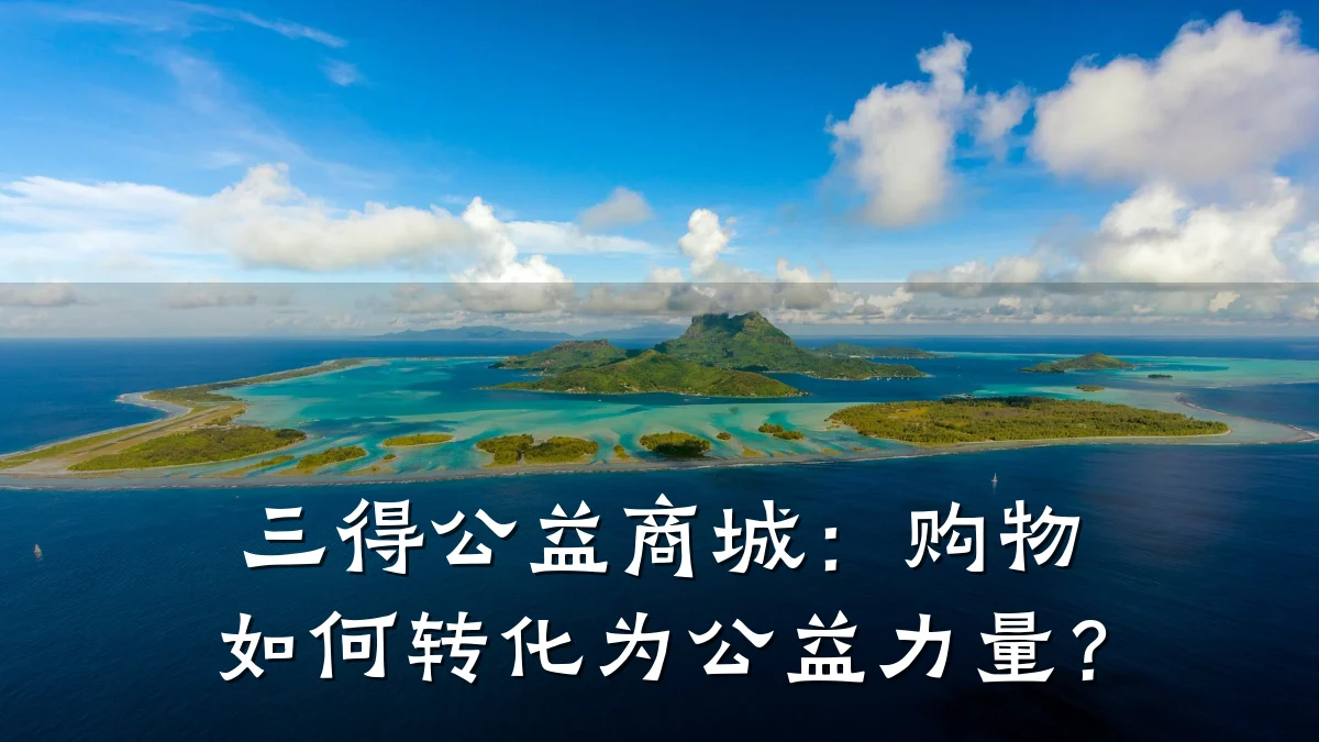 三得公益商城:购物如何转化为公益力量?