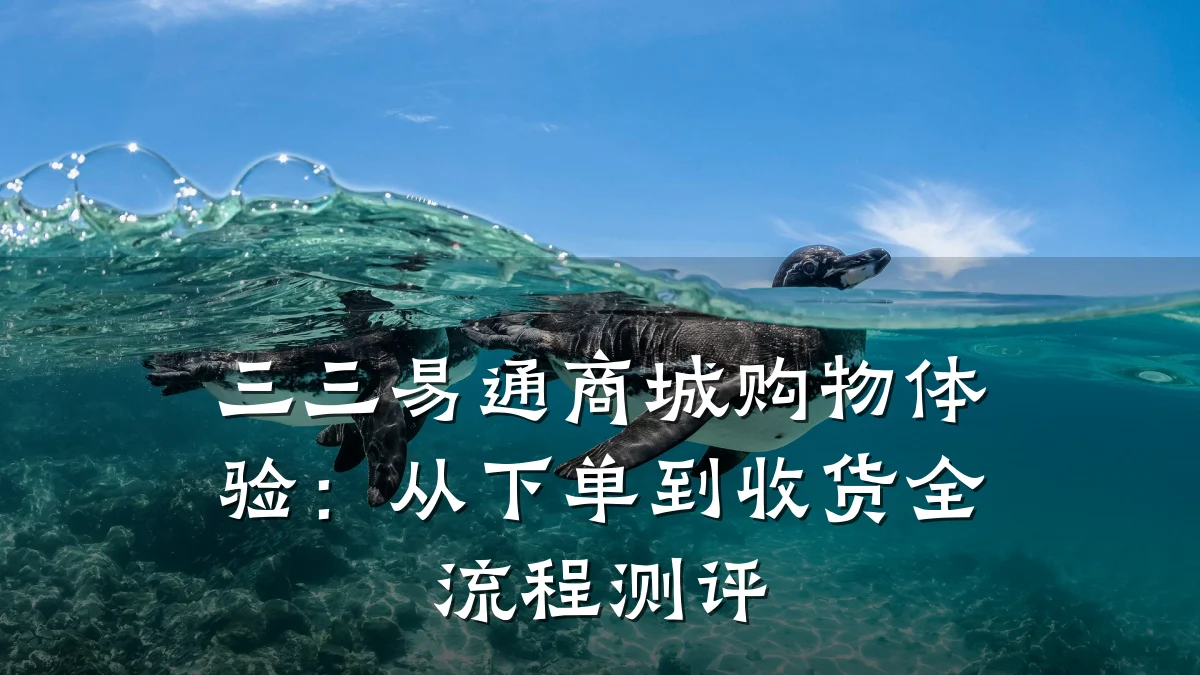 三三易通商城购物体验:从下单到收货全流程测评