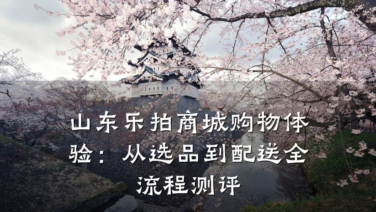 山东乐拍商城购物体验：从选品到配送全流程测评