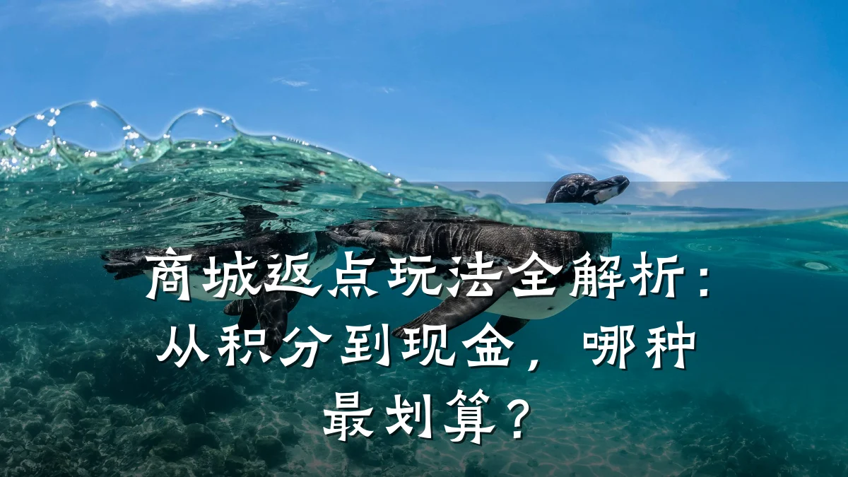 商城返点玩法全解析：从积分到现金，哪种最划算？
