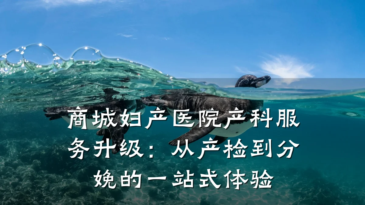 商城妇产医院产科服务升级：从产检到分娩的一站式体验