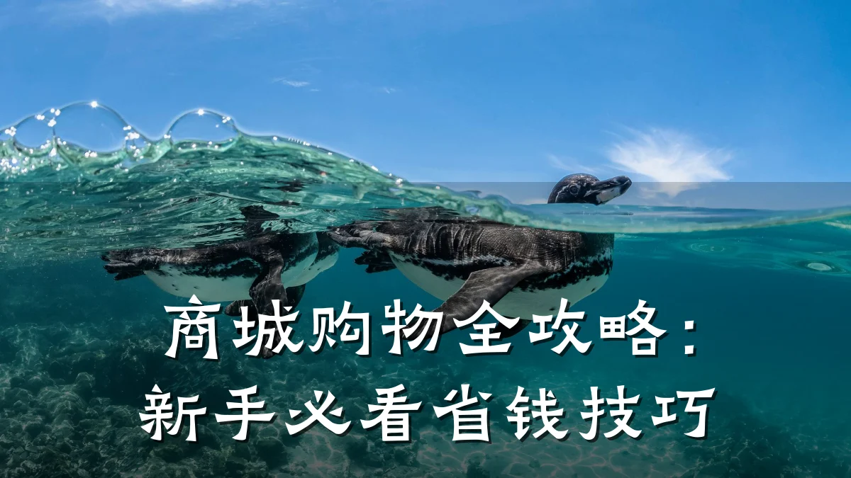 商城购物全攻略：新手必看省钱技巧