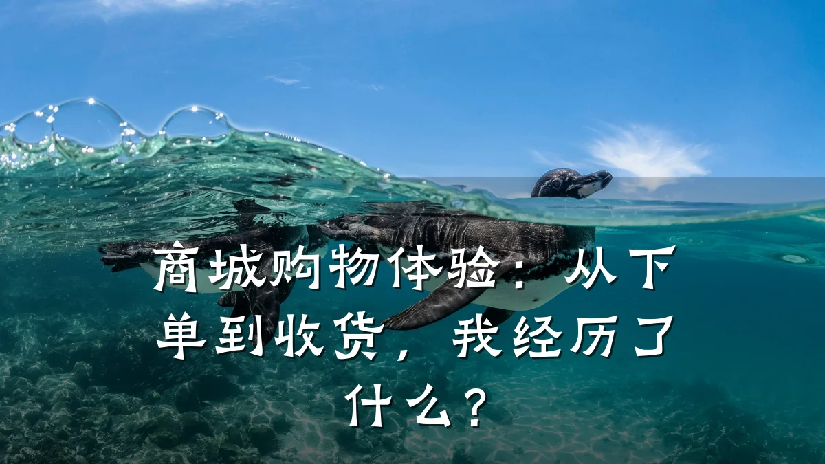 商城购物体验:从下单到收货,我经历了什么?