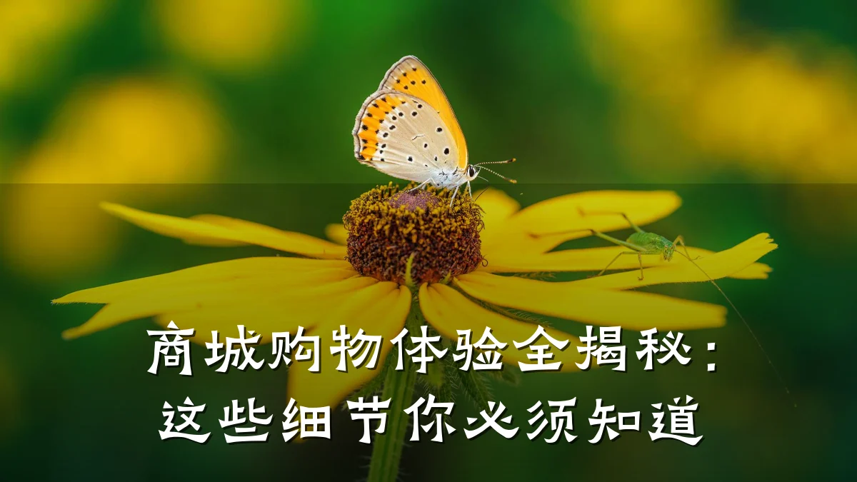 商城购物体验全揭秘:这些细节你必须知道