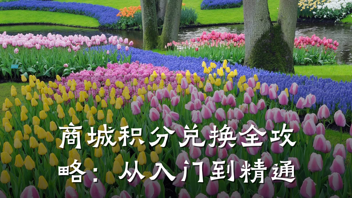 商城积分兑换全攻略：从入门到精通