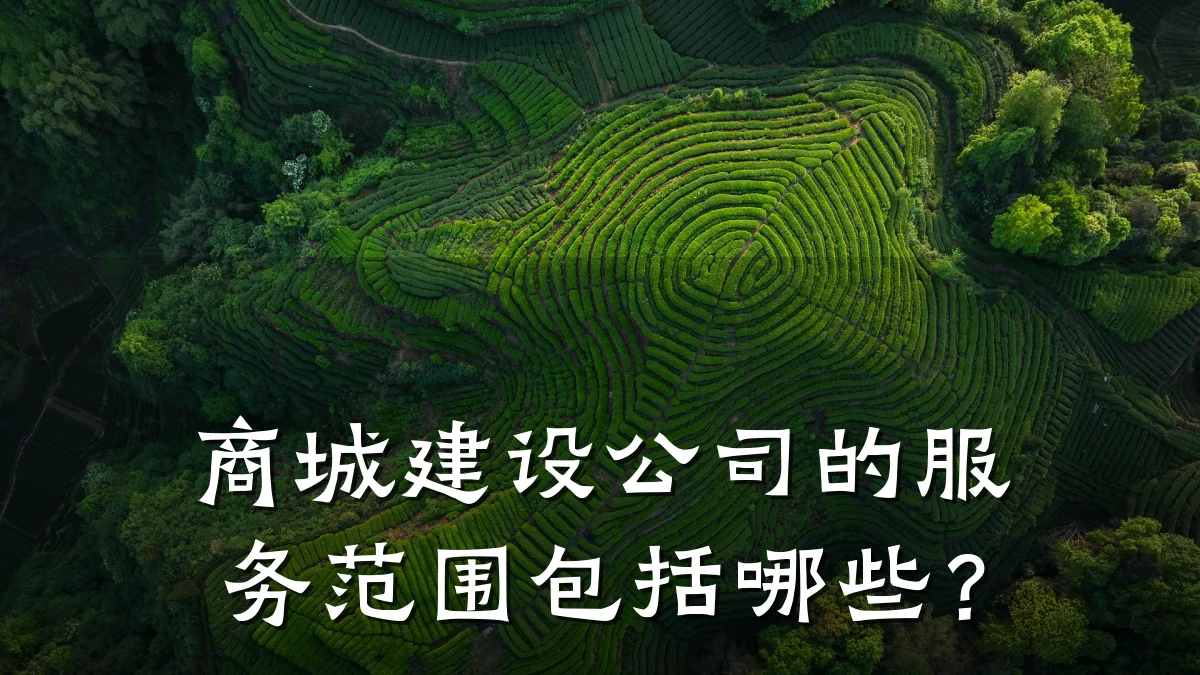 商城建设公司的服务范围包括哪些?