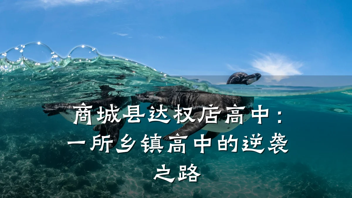 商城县达权店高中：一所乡镇高中的逆袭之路