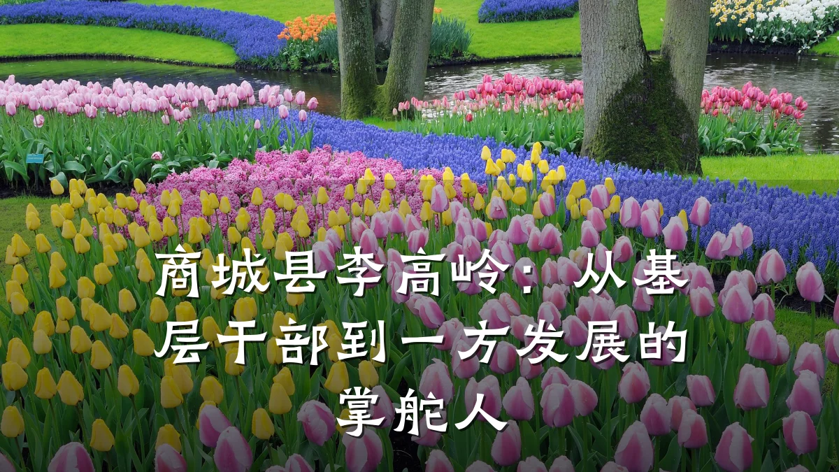 商城县李高岭：从基层干部到一方发展的掌舵人