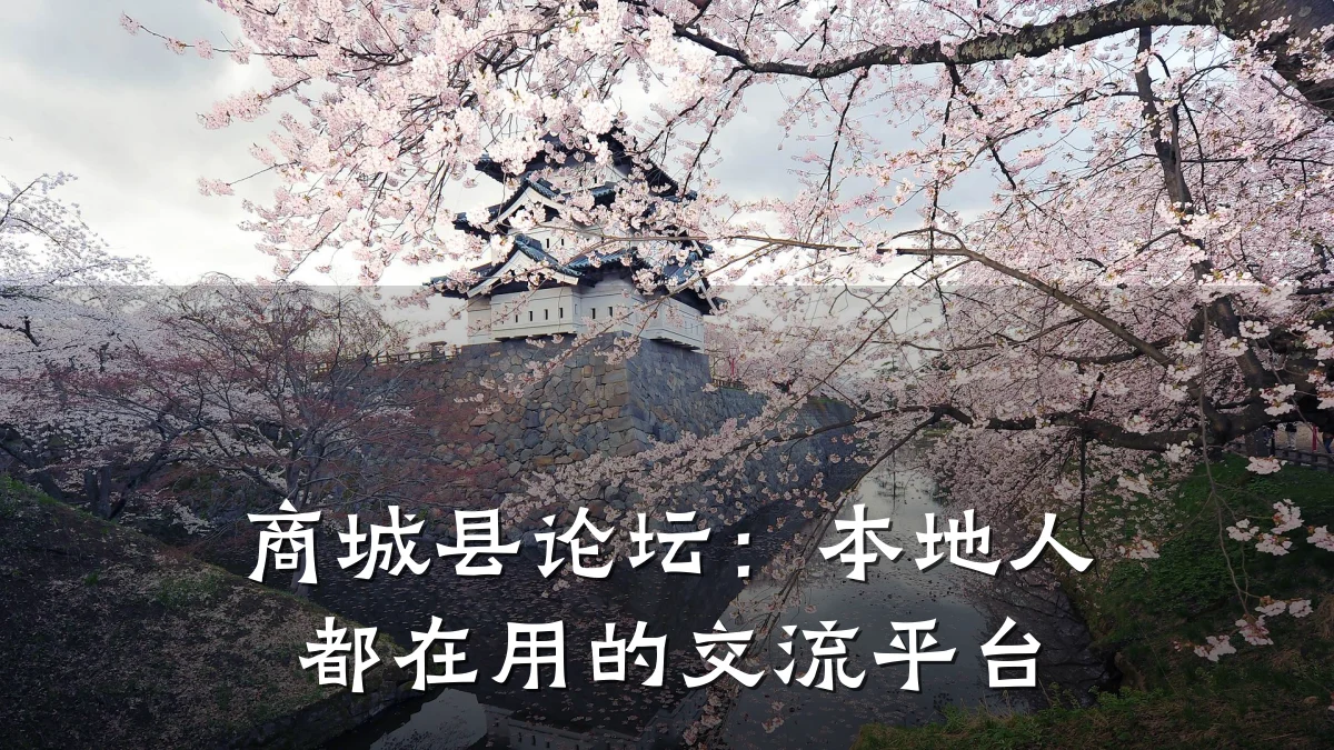 商城县论坛:本地人都在用的交流平台