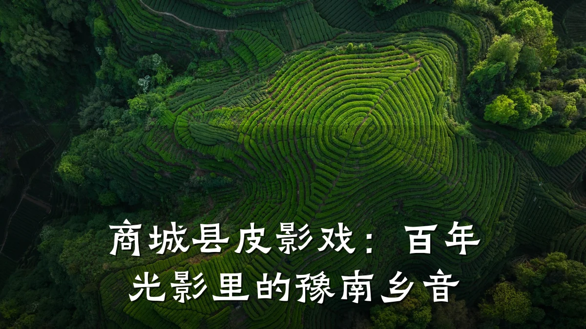 商城县皮影戏：百年光影里的豫南乡音
