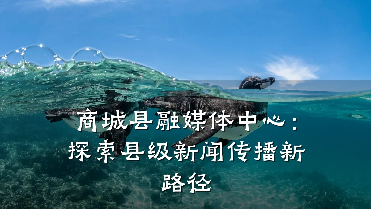 商城县融媒体中心：探索县级新闻传播新路径