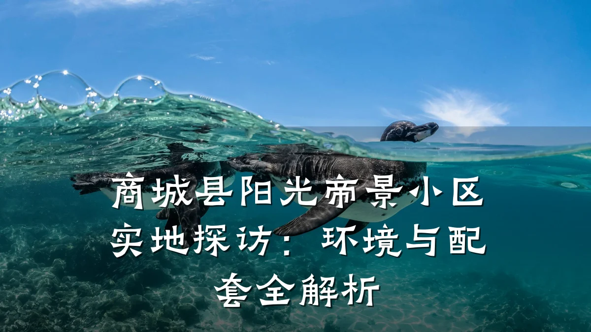 商城县阳光帝景小区实地探访:环境与配套全解析