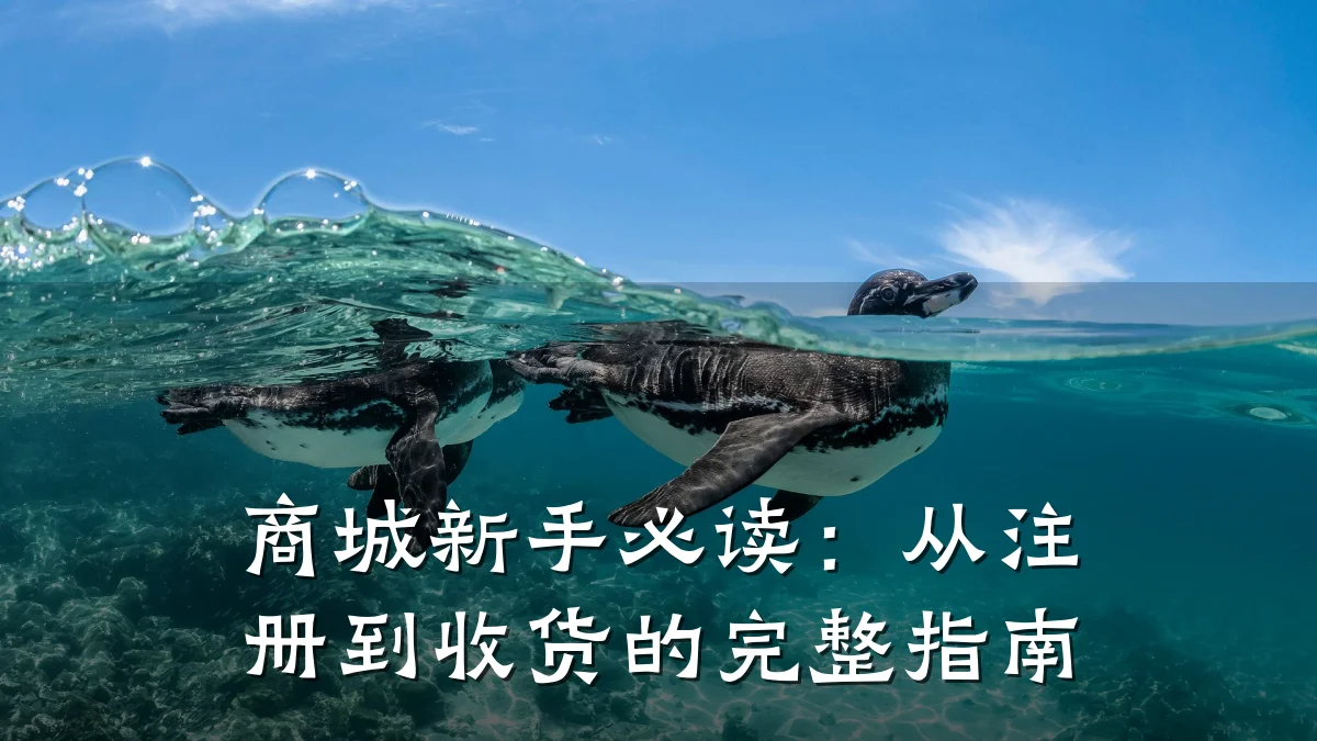 商城新手必读：从注册到收货的完整指南