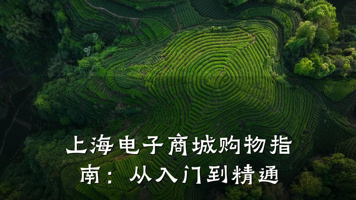 上海电子商城购物指南：从入门到精通