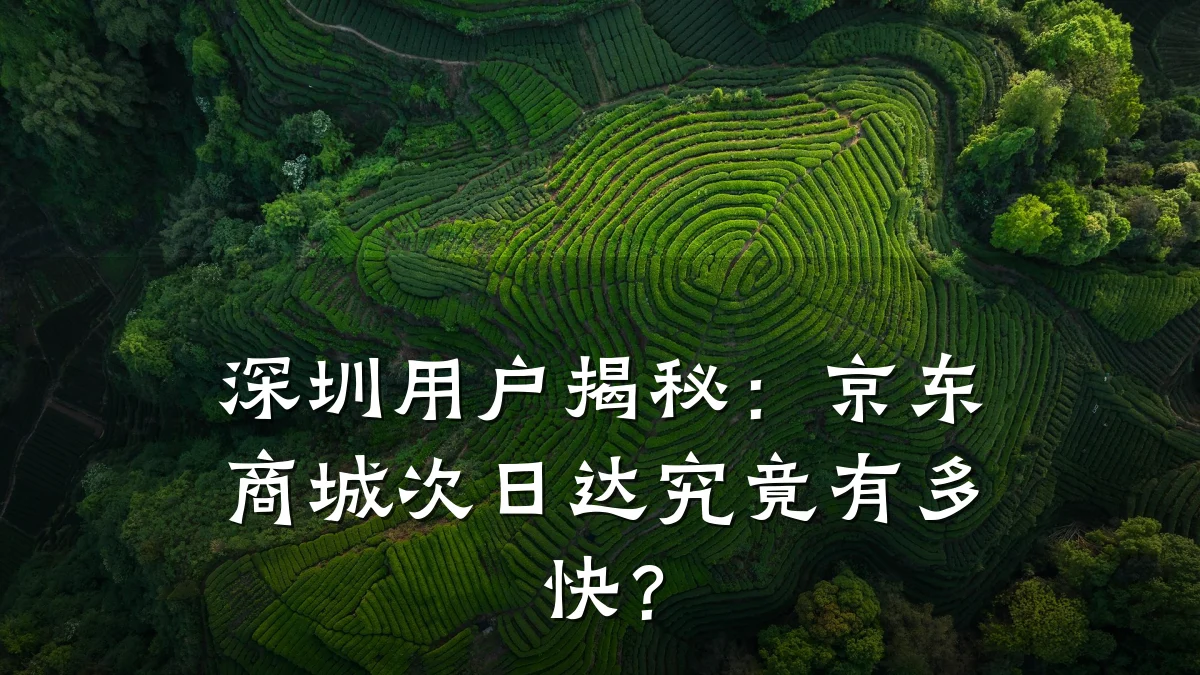深圳用户揭秘：京东商城次日达究竟有多快？