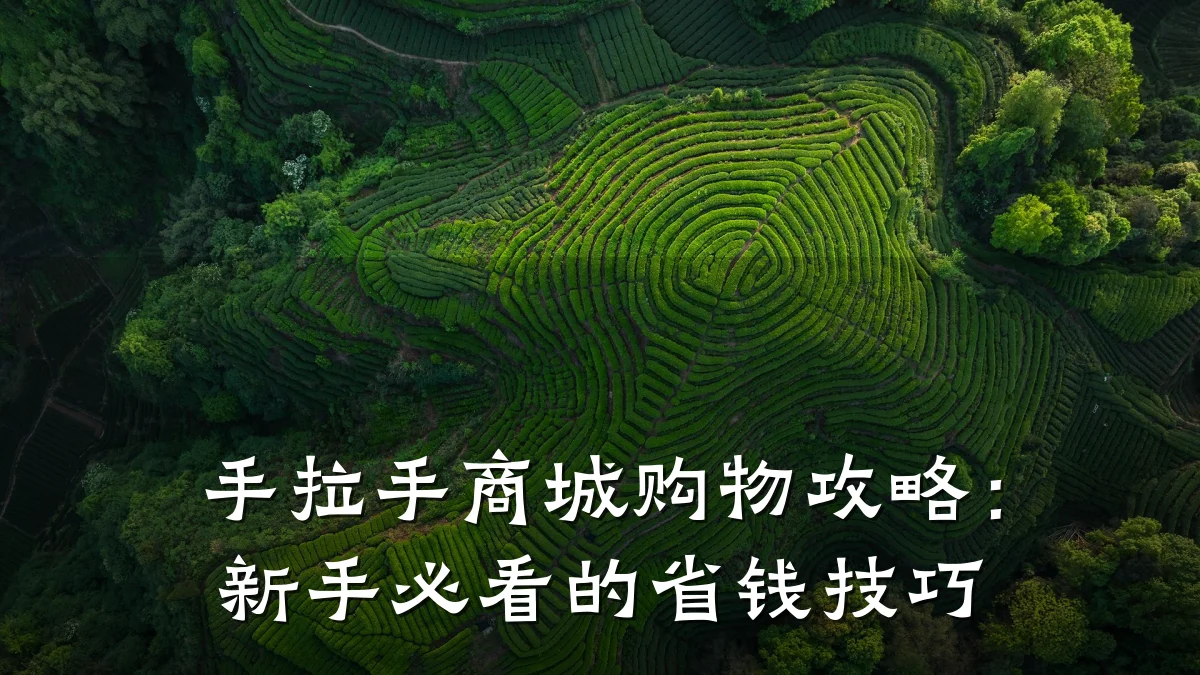 手拉手商城购物攻略:新手必看的省钱技巧