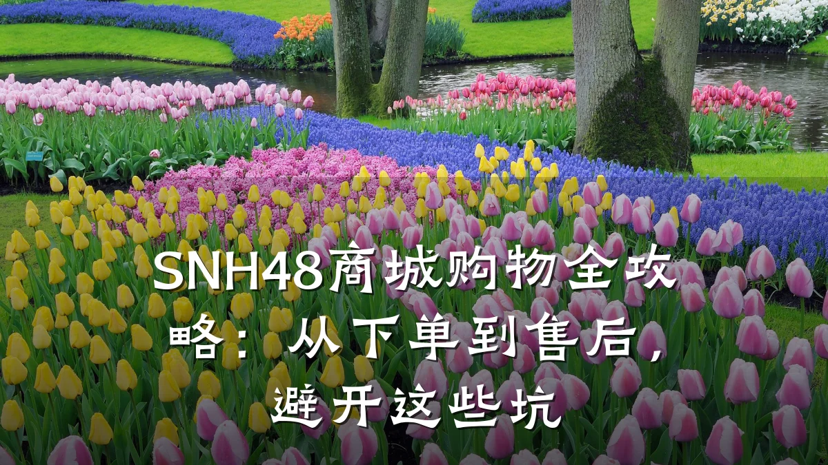 SNH48商城购物全攻略:从下单到售后,避开这些坑