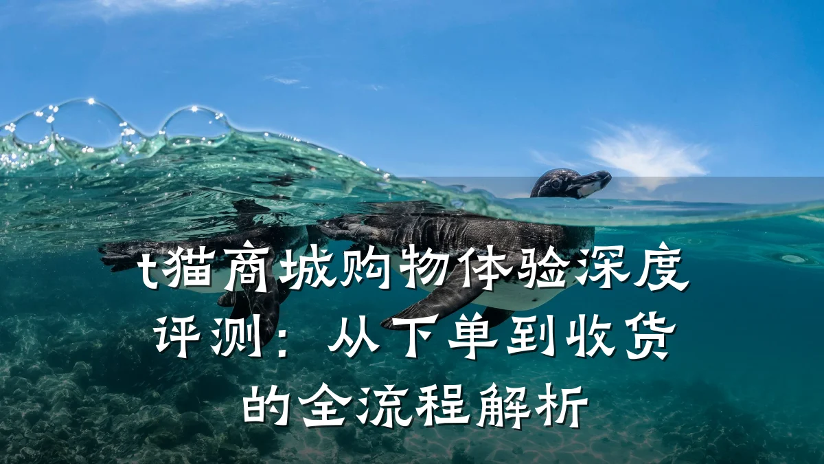 t猫商城购物体验深度评测:从下单到收货的全流程解析