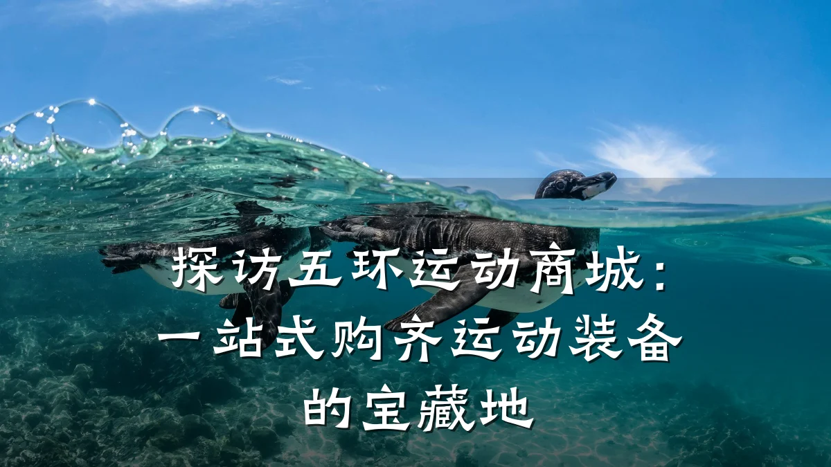 探访五环运动商城：一站式购齐运动装备的宝藏地