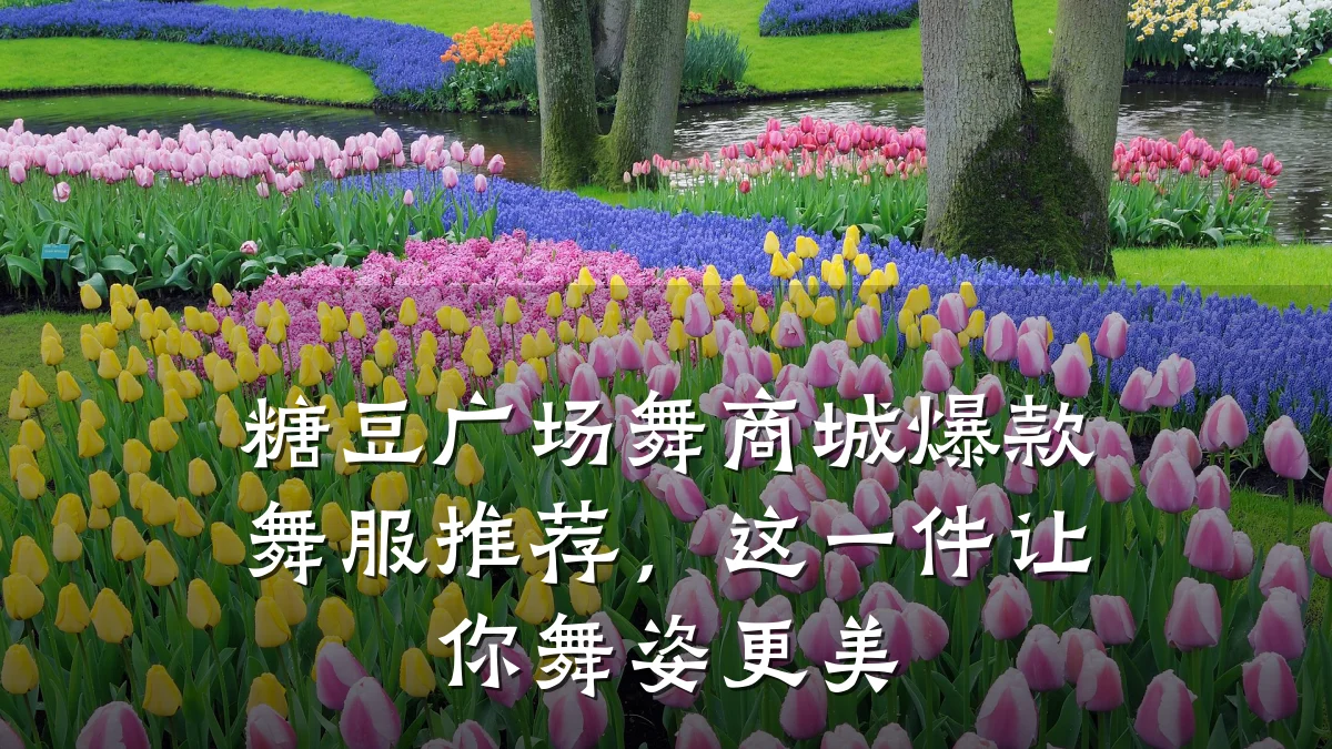 糖豆广场舞商城爆款舞服推荐,这一件让你舞姿更美
