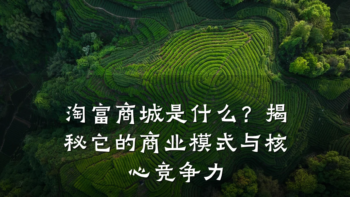 淘富商城是什么？揭秘它的商业模式与核心竞争力
