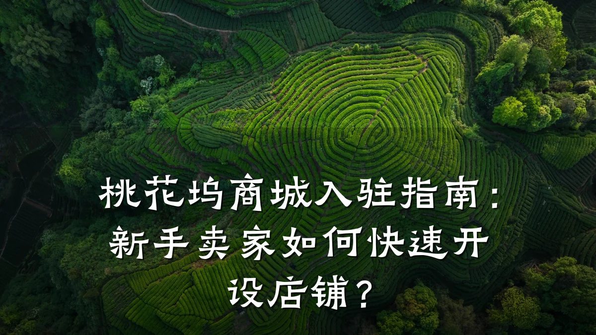 桃花坞商城入驻指南：新手卖家如何快速开设店铺？