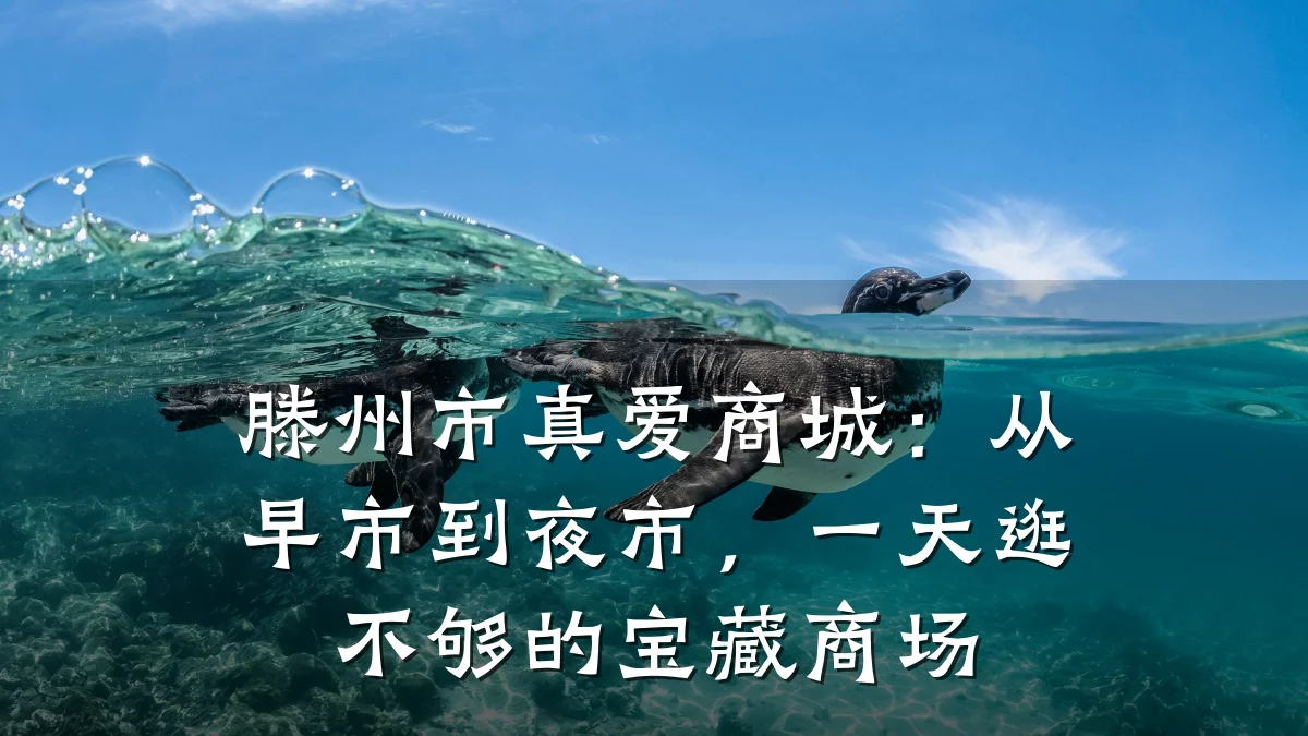 滕州市真爱商城:从早市到夜市,一天逛不够的宝藏商场