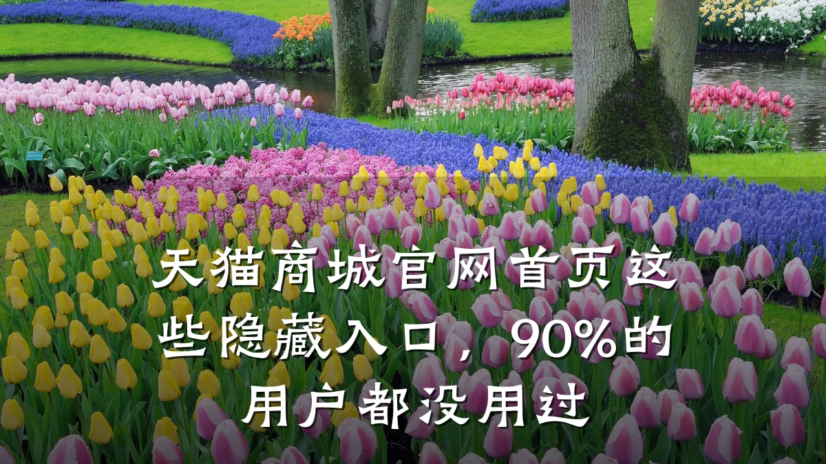 天猫商城官网首页这些隐藏入口，90%的用户都没用过