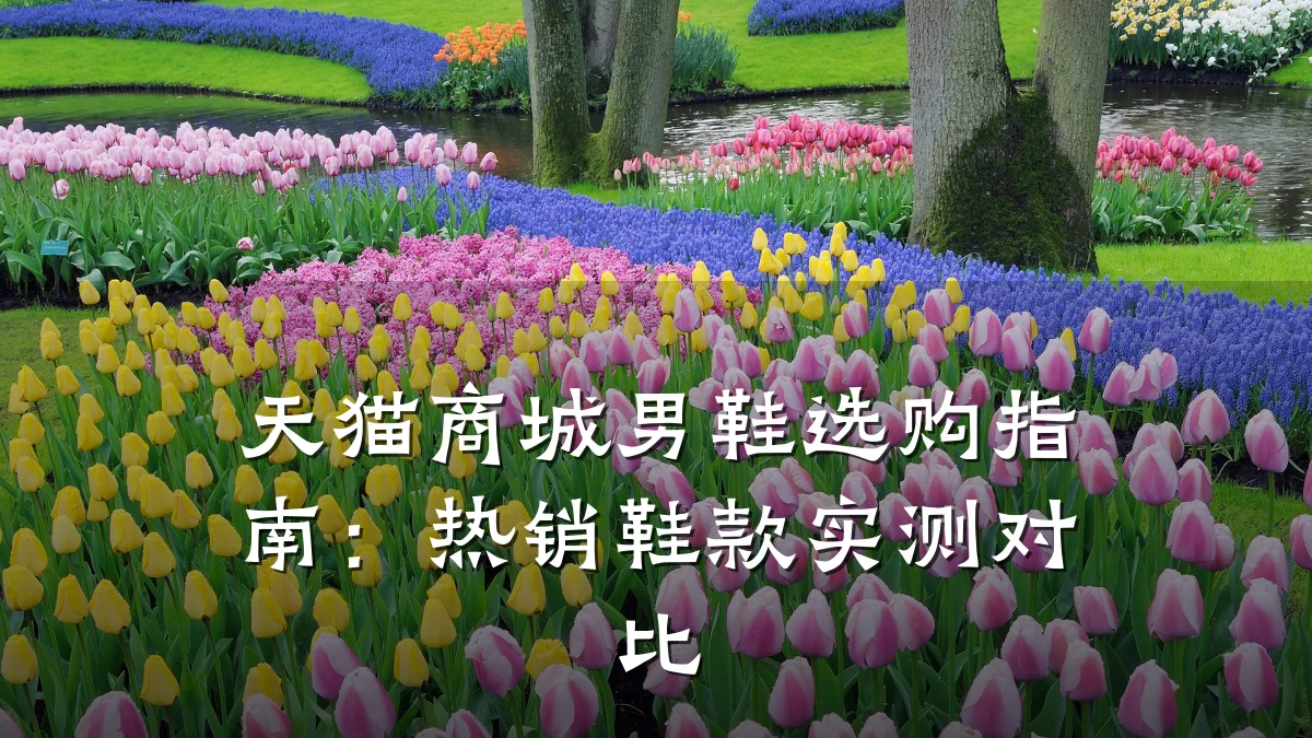 天猫商城男鞋选购指南：热销鞋款实测对比