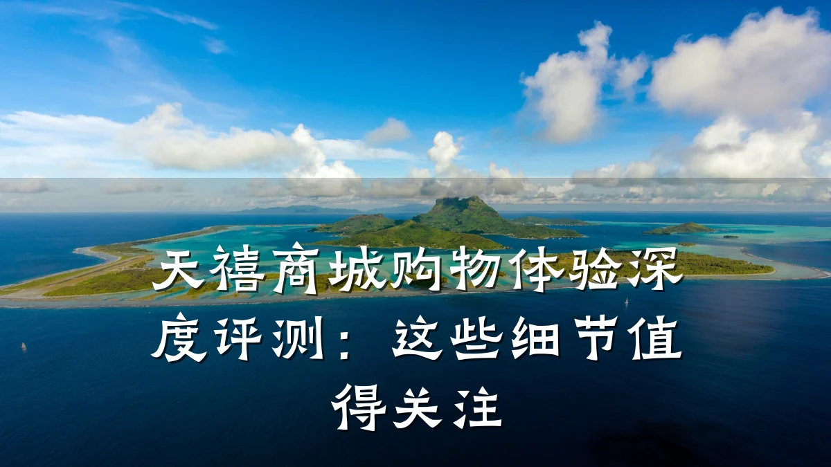 天禧商城购物体验深度评测：这些细节值得关注