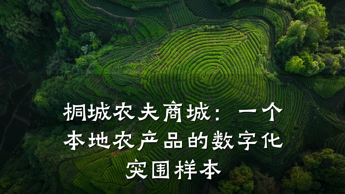 桐城农夫商城：一个本地农产品的数字化突围样本