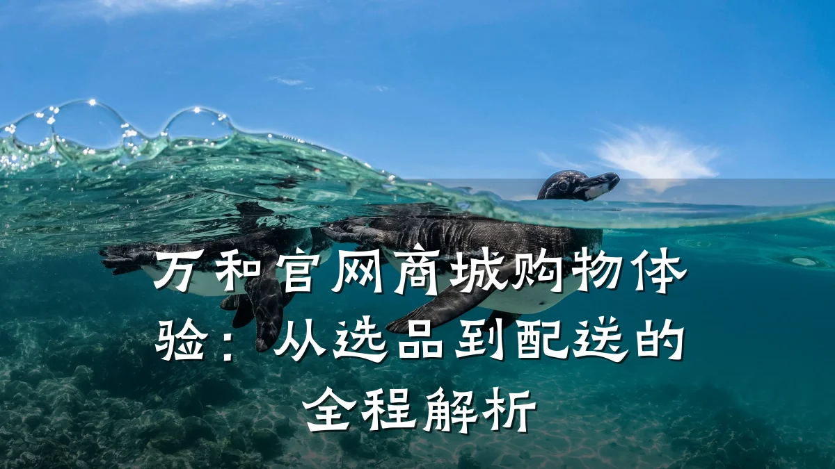 万和官网商城购物体验：从选品到配送的全程解析