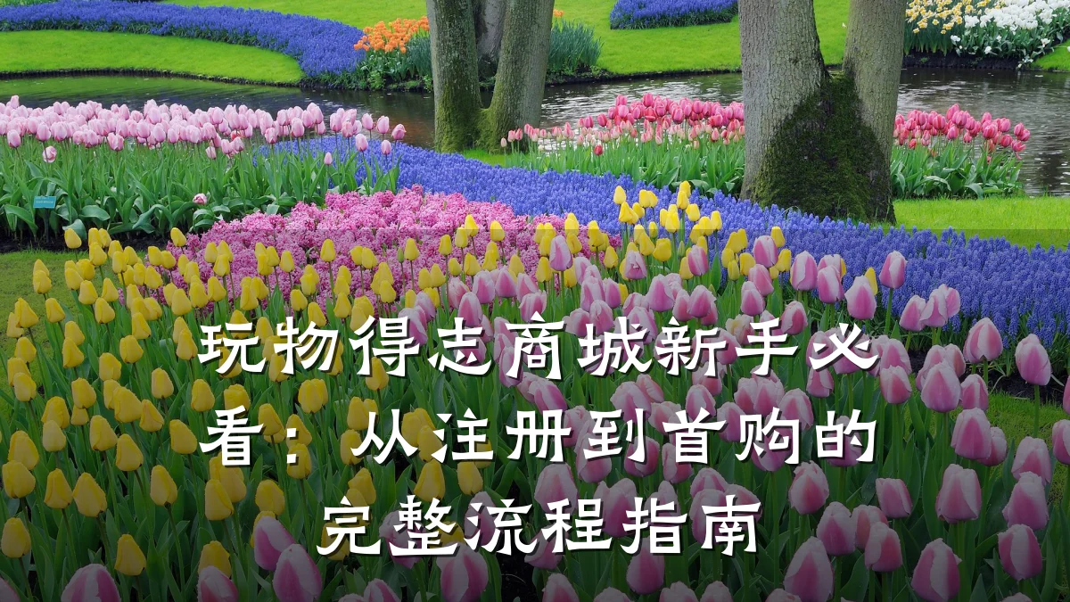 玩物得志商城新手必看:从注册到首购的完整流程指南