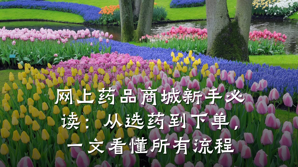 网上药品商城新手必读：从选药到下单，一文看懂所有流程