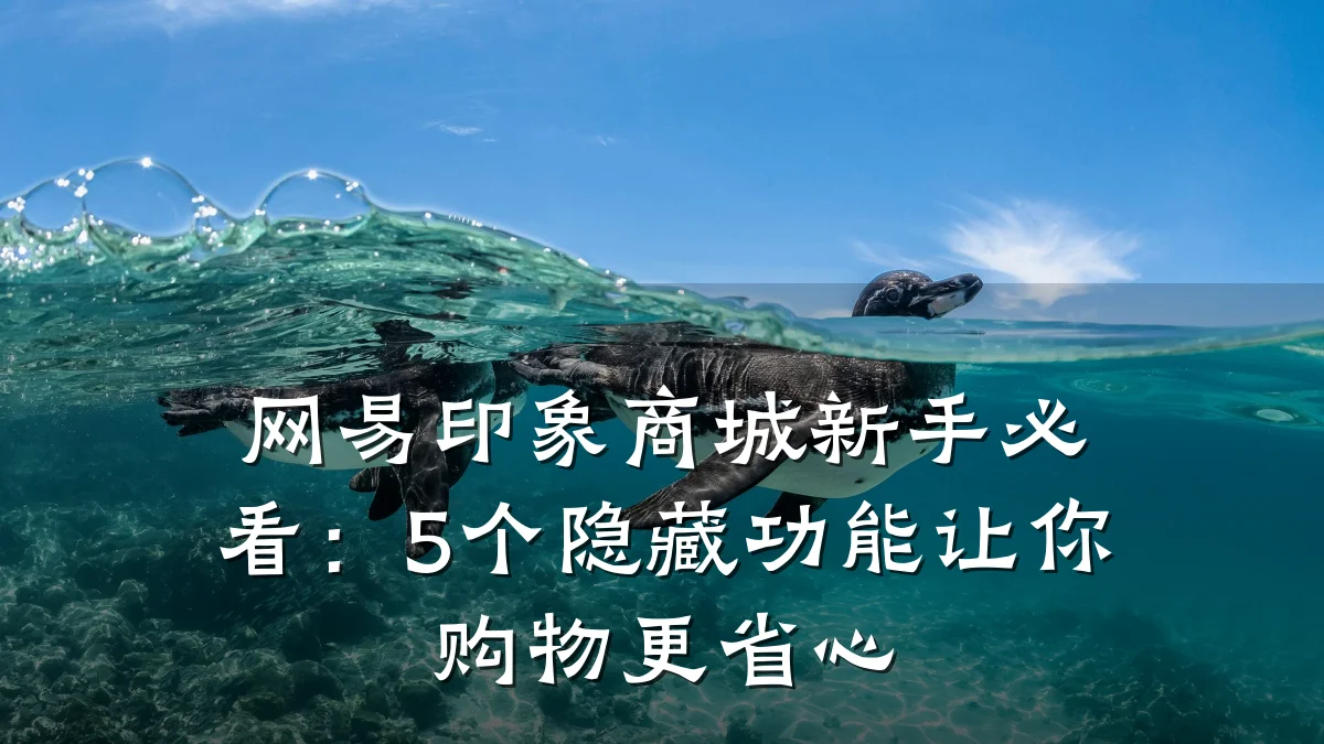 网易印象商城新手必看：5个隐藏功能让你购物更省心
