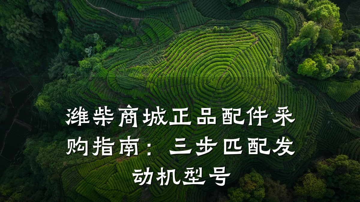 潍柴商城正品配件采购指南：三步匹配发动机型号