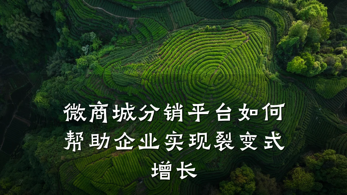 微商城分销平台如何帮助企业实现裂变式增长